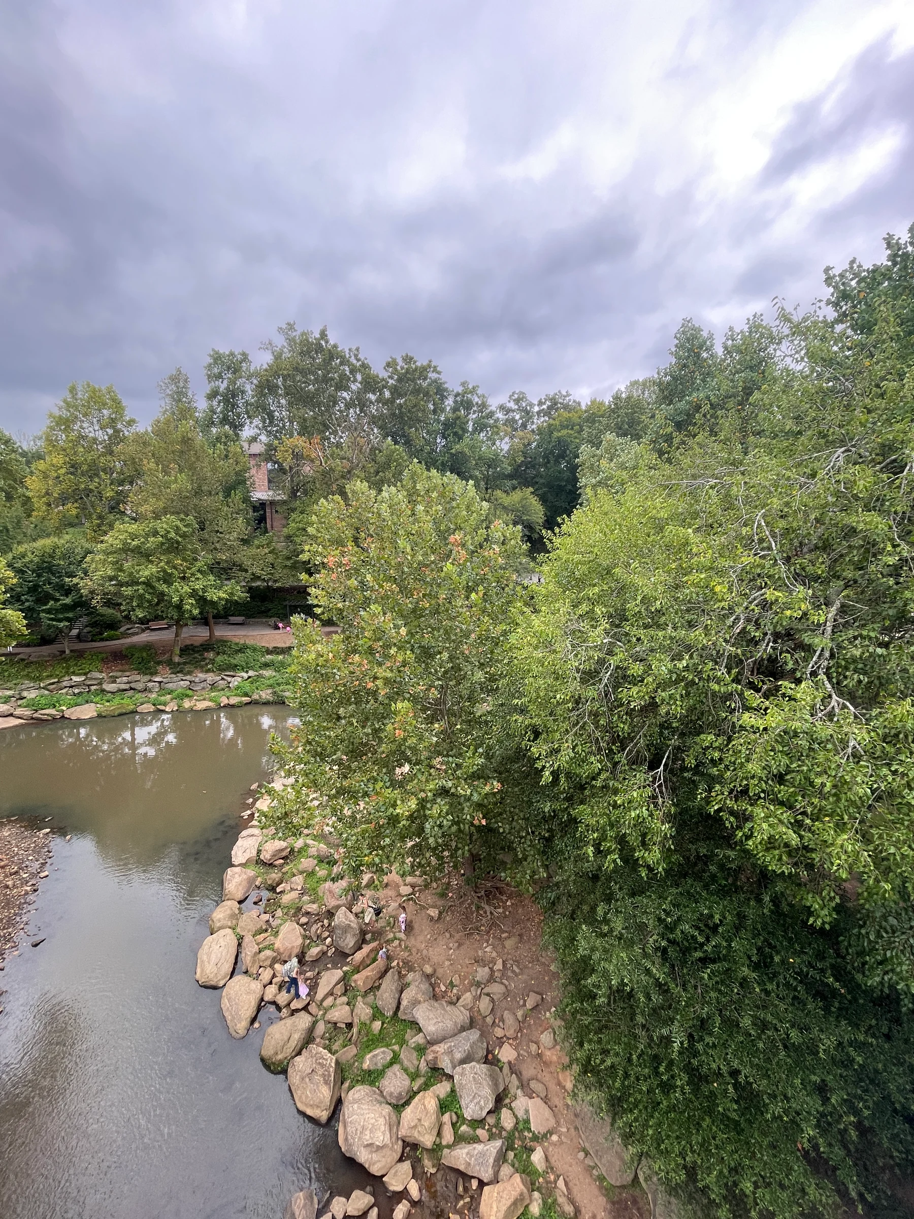 2026-09-07_110809_Greenville_Riverbank-Trees-and-Rocks_IMG-6268.jpg