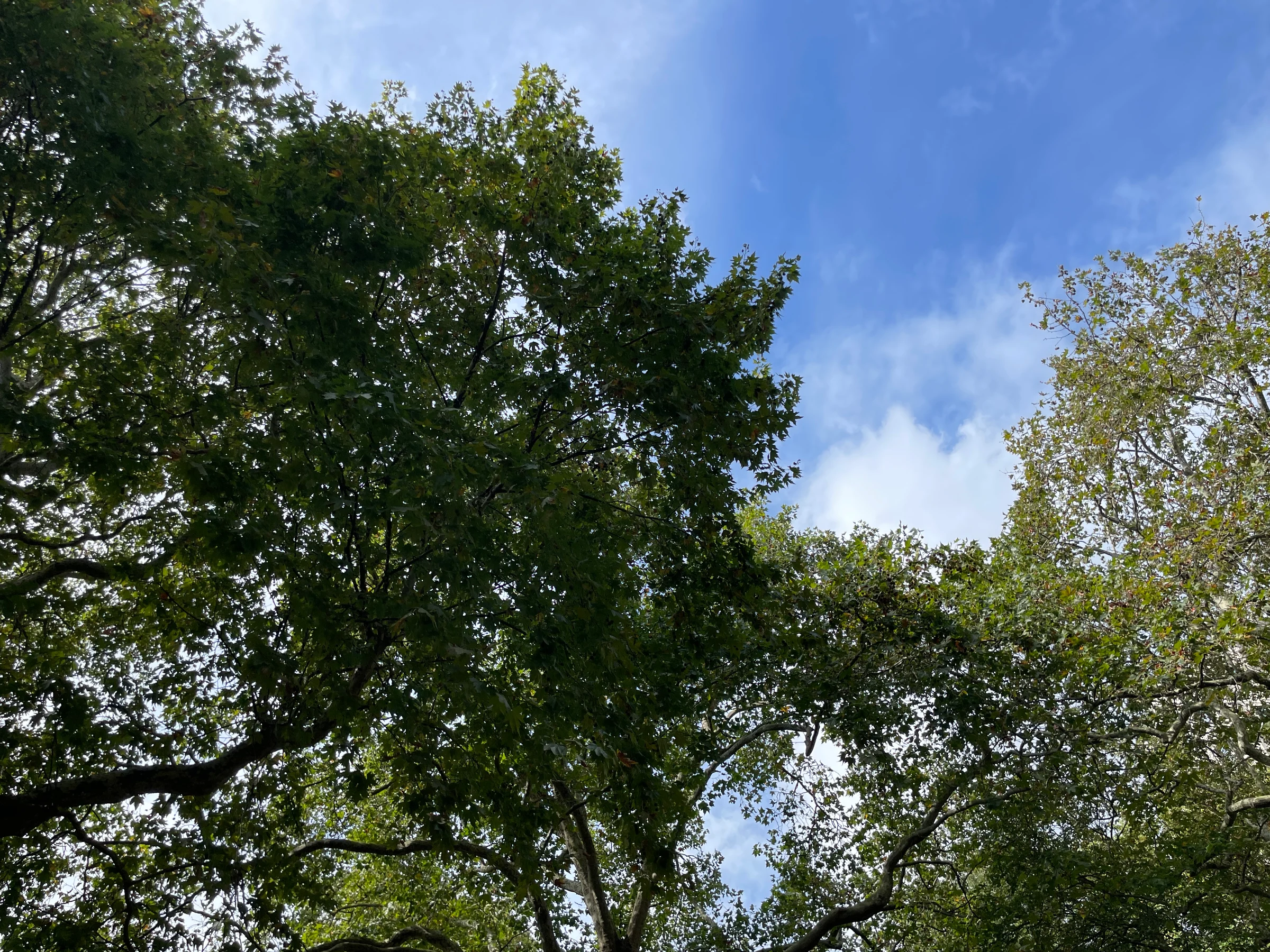 The blue sky of London Town on a balmy Sunday